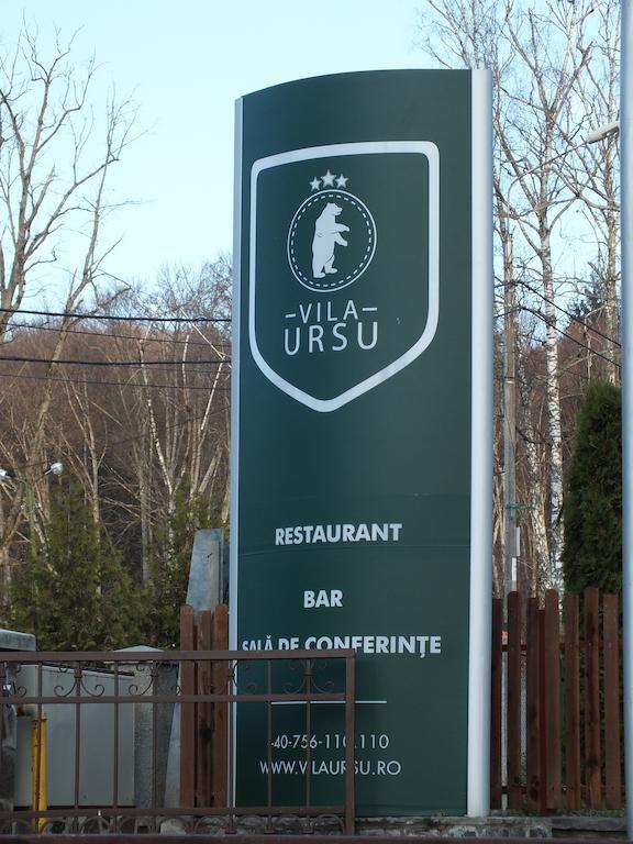 Vila Ursu Din Sovata Bai Extérieur photo